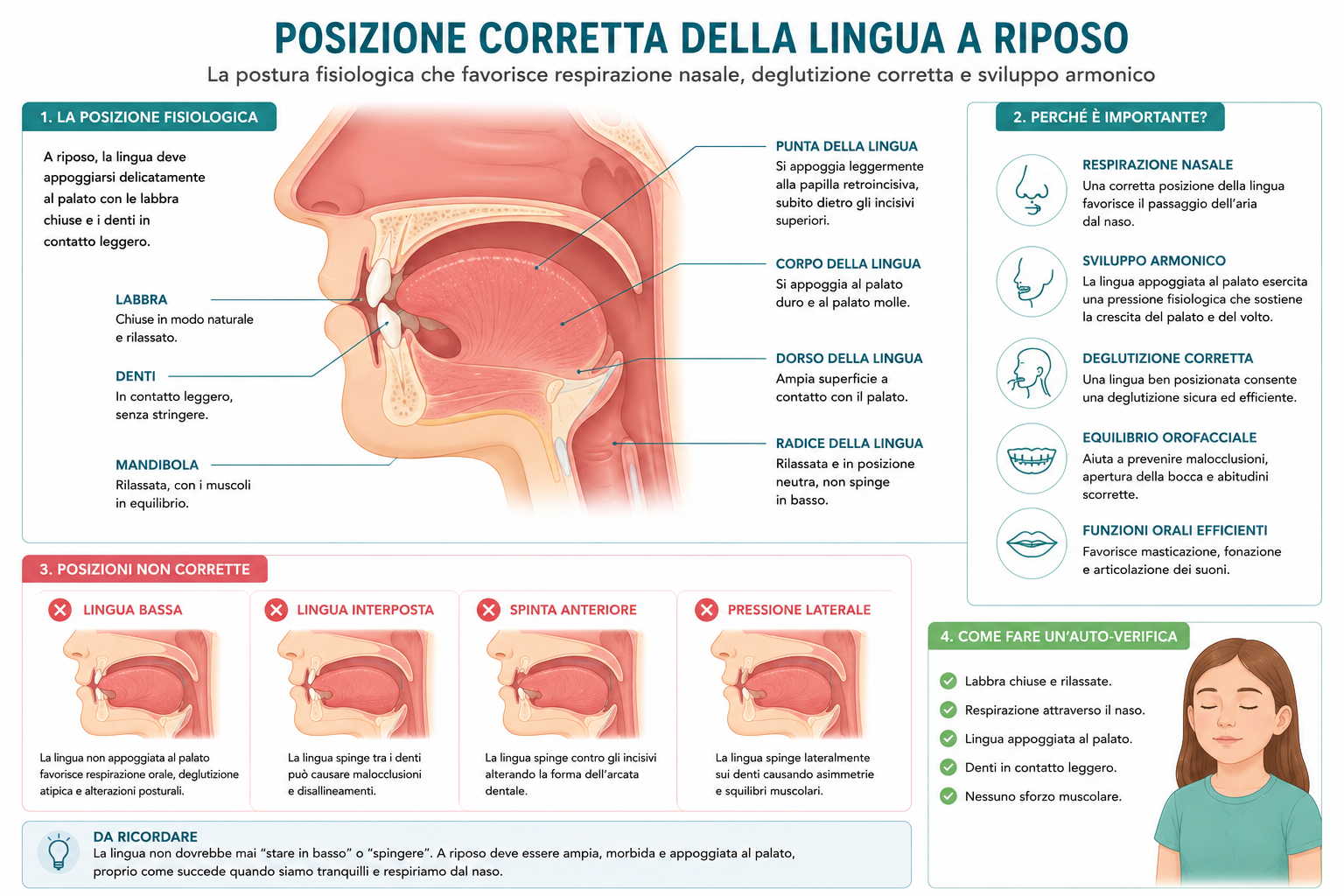 Posizione corretta della lingua a riposo